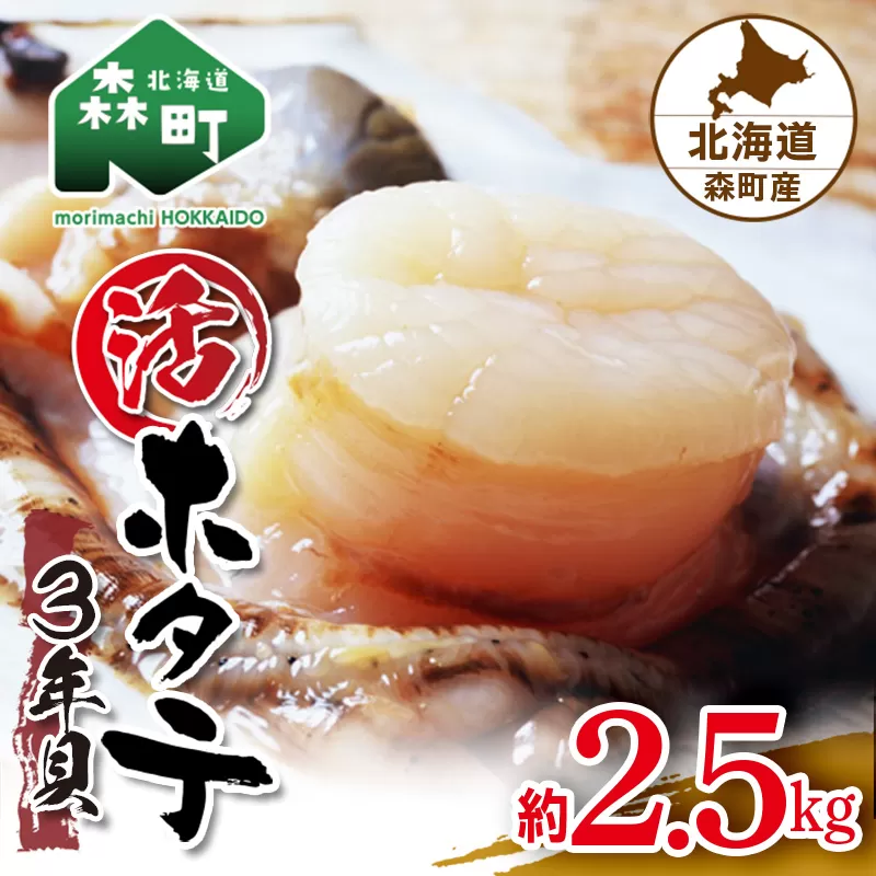 【先行予約】北海道森町産 活ホタテ3年貝 2.5kg（約10-15枚）（2024年2月以降発送） ＜道産ネットミツハシ＞ 森町 ほたて 帆立 ホタテ 活ホタテ 活帆立 海産物 魚貝類 ふるさと納税 北海道 mr1-0439