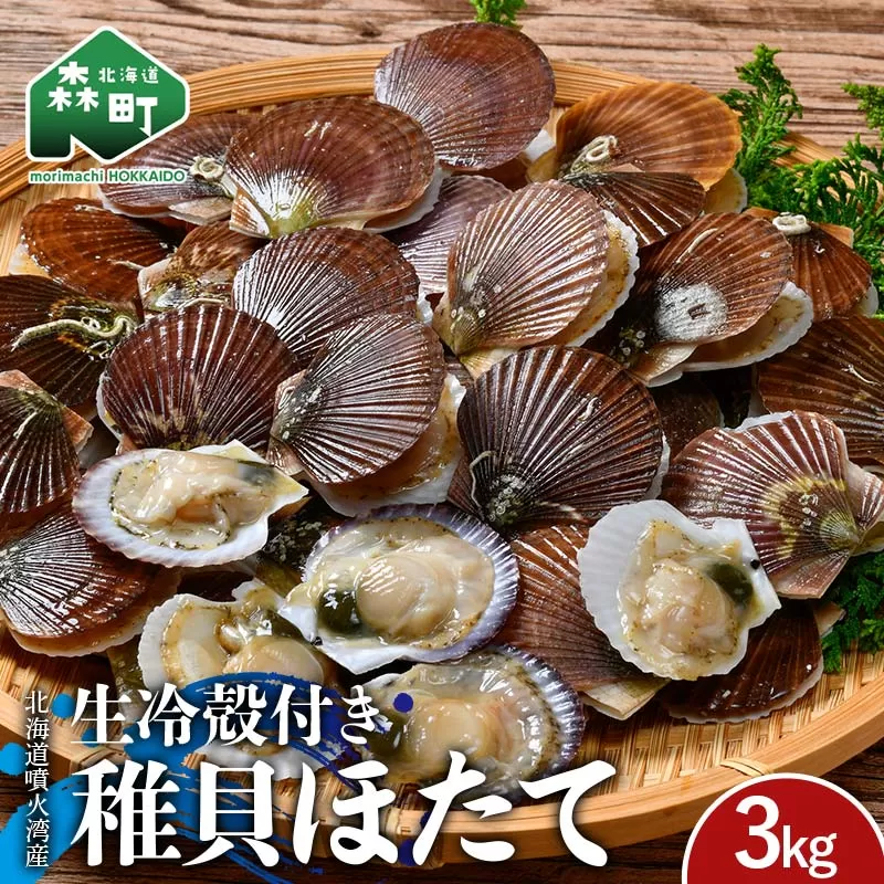 北海道噴火湾産 殻付き稚貝ほたて 3kg（段ボールまたは発泡入り） 海産物 加工品 ほたて 帆立 ホタテ 魚介類 海鮮 森町 ふるさと納税 mr1-0984
