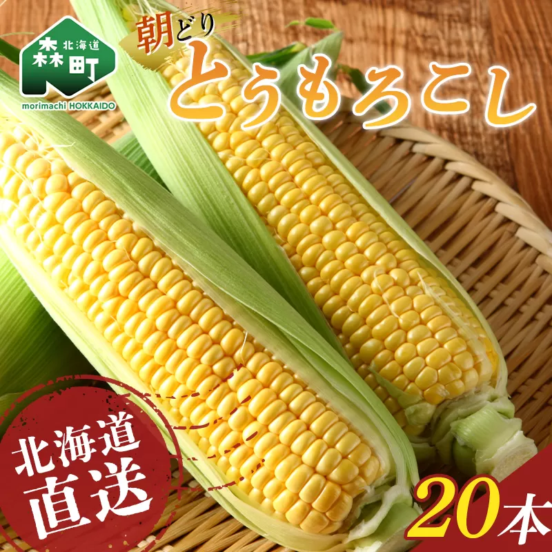 【先行予約】朝どり！北海道直送とうもろこし！ 20本前後 （2024年8月中旬〜9月上旬頃に発送） <對馬ファーム> とうもろこし トウモロコシ とうきび トウキビ 唐黍 野菜 やさい 甘い 北海道 森町 ふるさと納税 mr1-0507