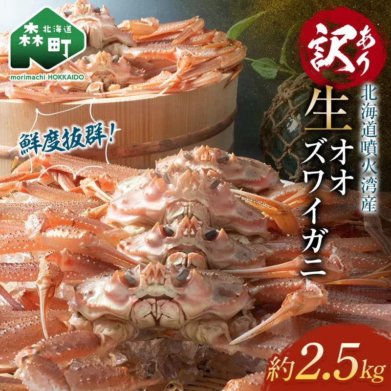 【訳あり】 生オオズワイガニ 約2.5kg ＜海鮮問屋　株式会社　瑞宝＞ ズワイガニ かに カニ 蟹 ガニ がに 海鮮 森町 北海道 mr1-0684