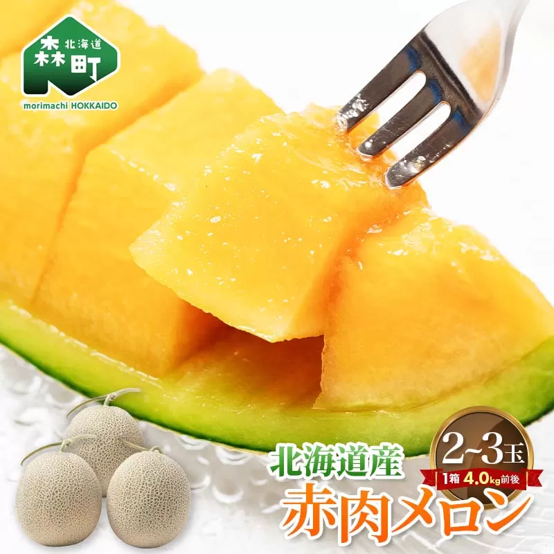 【先行予約】北海道森町産赤肉メロン2～3玉入り（1箱4kg前後）（2025年6月上旬～8月上旬頃順次発送）＜道産ネットミツハシ＞  森町 メロン 果物 赤肉 北海道産 ふるさと納税 北海道 mr1-0906