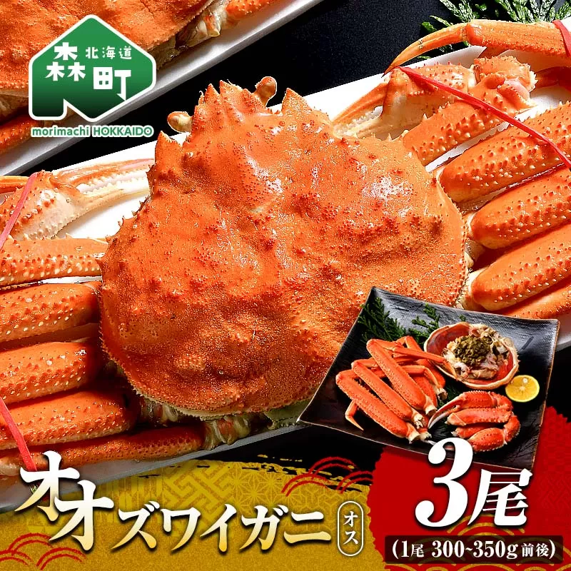 オオズワイガニ オス姿 3尾 300〜350g前後×3尾 ＜海鮮問屋　株式会社　瑞宝＞ かに カニ 蟹 ガニ がに 海鮮 森町 北海道  mr1-1302