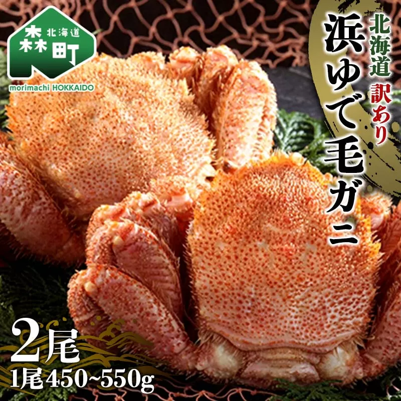 【訳あり】北海道 浜茹で毛がに450～550g 2尾 〈ワイエスフーズ〉 かに カニ 蟹 ガニ がに 森町 ふるさと納税 北海道 毛蟹 毛かに 毛ガニ 毛カニ mr1-0913