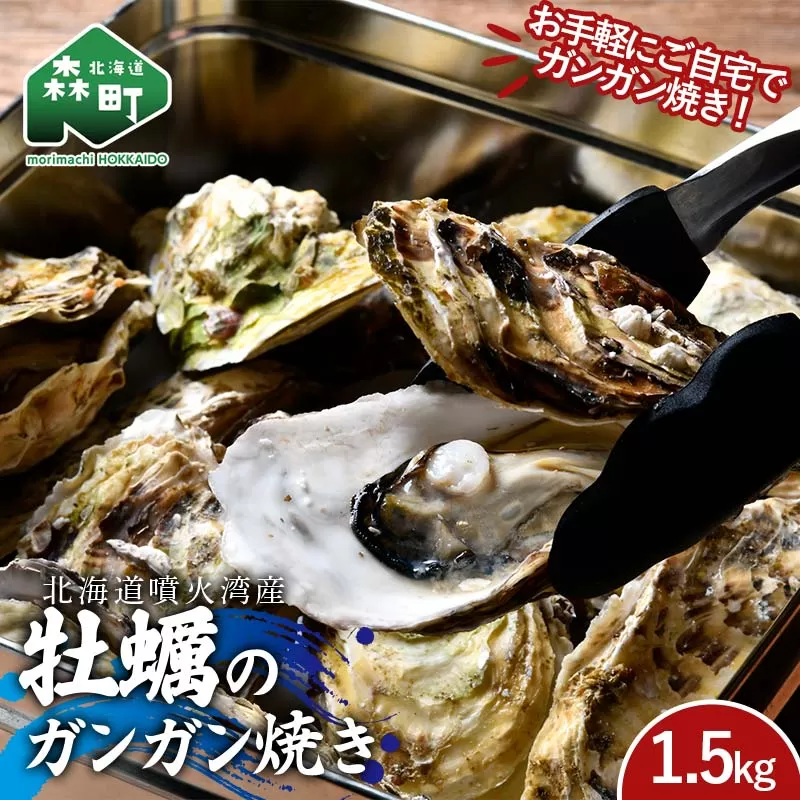 北海道噴火湾産 牡蠣のガンガン焼き 1.5kg 海産物 加工品 ほたて 帆立 ホタテ 魚介類 海鮮 森町 ふるさと納税 mr1-0982