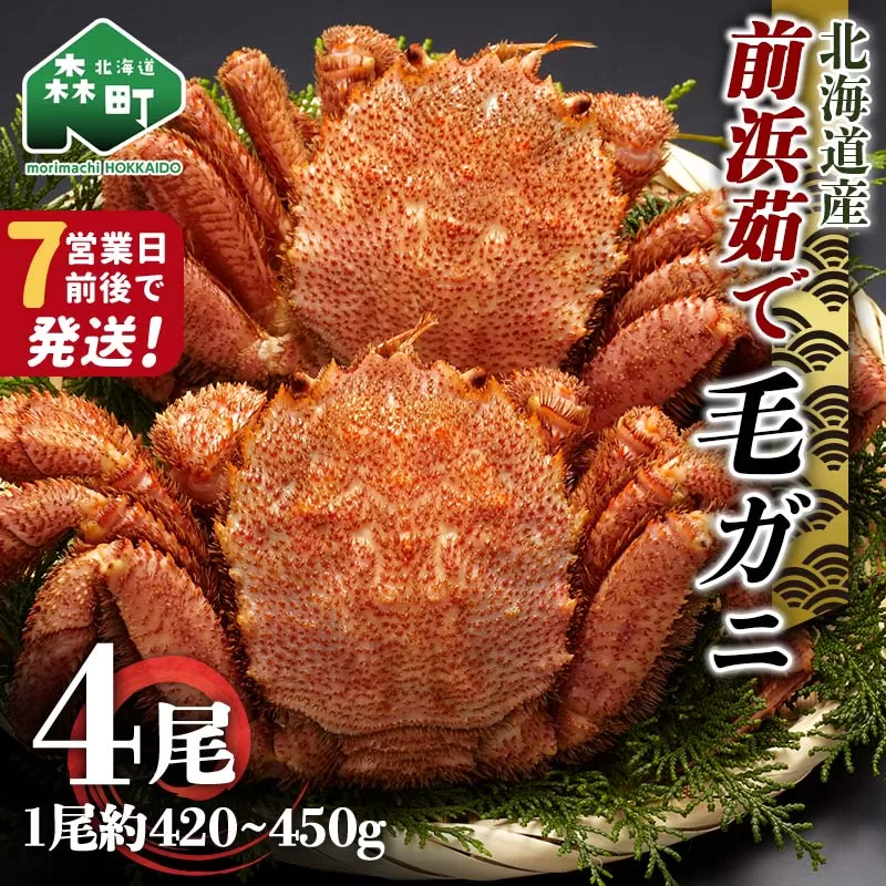 【7営業日前後で発送】北海道 毛ガニ 前浜茹で毛がに 約420g〜450g 4尾 かに カニ 蟹 ガニ がに 森町 毛蟹 毛かに 毛がに 毛カニ 毛ガニ mr1-1040