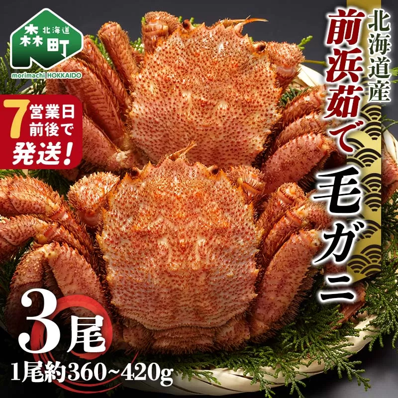 【7営業日前後で発送】北海道 毛ガニ 前浜茹で毛がに 約360g〜420g 3尾 かに カニ 蟹 ガニ がに 森町 毛蟹 毛かに 毛がに 毛カニ 毛ガニ mr1-1034
