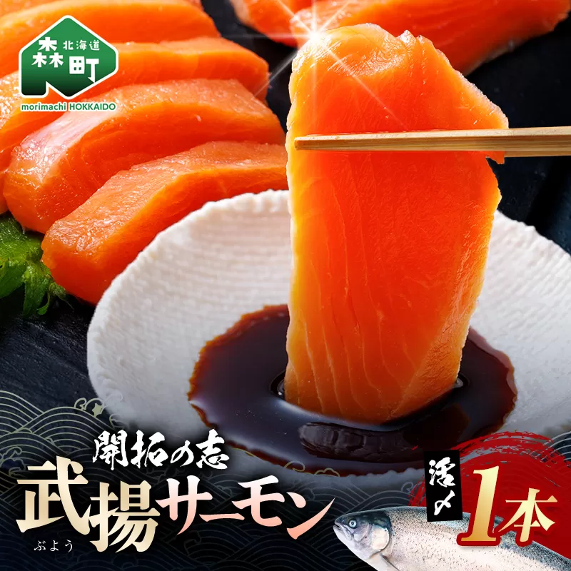 開拓の志 武揚サーモン 「森町」 活〆1本 ＜株式会社 ワイエス海商＞ サケ さけ 鮭 海鮮丼 海産物 森町 ふるさと納税 北海道 mr1-1342