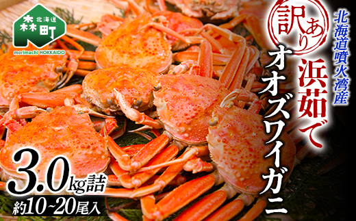 冷凍ボイル 本ズワイガニ/6尾(総重量3.0kg) （ボイル済 本