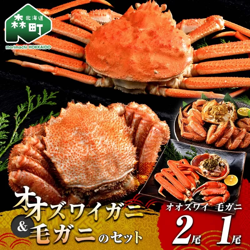 オオズワイガニ毛がに3尾Bセット オオズワイガニ2尾(300〜350g前後×2尾) 毛がに1尾(約350g) ＜海鮮問屋　株式会社　瑞宝＞ かに カニ 蟹 ガニ がに 海鮮 森町 北海道  mr1-1373