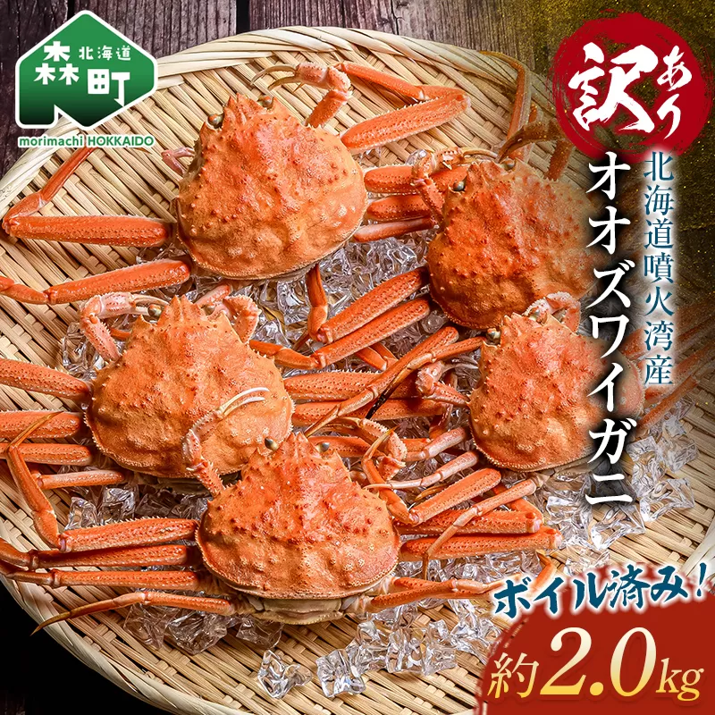 【訳あり】オオズワイガニ（ボイル済） 約2.0kg （オスメスどちらか）＜海鮮問屋　株式会社　瑞宝＞ ズワイガニ かに カニ 蟹 ガニ がに 海鮮 森町 北海道 mr1-0919