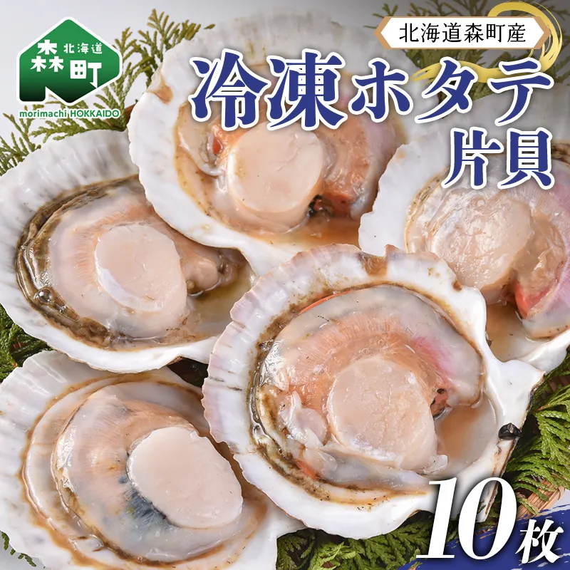 北海道森町産 冷凍ホタテ 片貝5枚×2袋（14cm前後）  mr1-1386