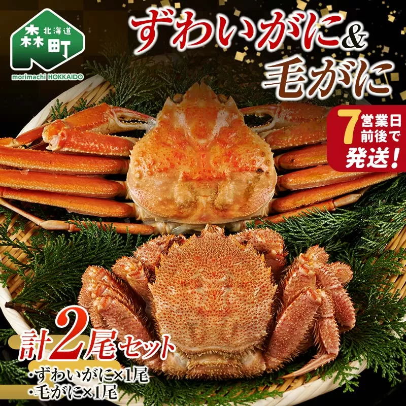 ずわいがに毛がに2尾セット 北海道森町水揚げ かに カニ 蟹 ガニ がに 森町 ふるさと納税 北海道 毛蟹 毛かに 毛ガニ 毛カニ 北海道 ズワイカニ ズワイ蟹 ズワイガニ 食べ比べ mr1-1081