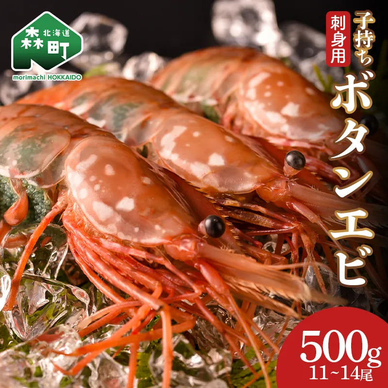 北海道噴火湾産 刺身用 子持ちボタンエビ 500g(11~14尾) 北海道産 えび エビ 海老 ぼたんえび ボタンエビ 牡丹エビ 刺身 子持ち 海鮮 冷凍 mr1-1563