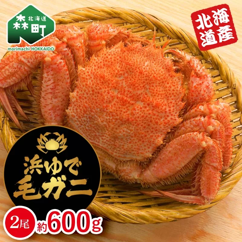【北海道産】 浜ゆで毛ガニ 約600g (2尾入り) mr1-1059
