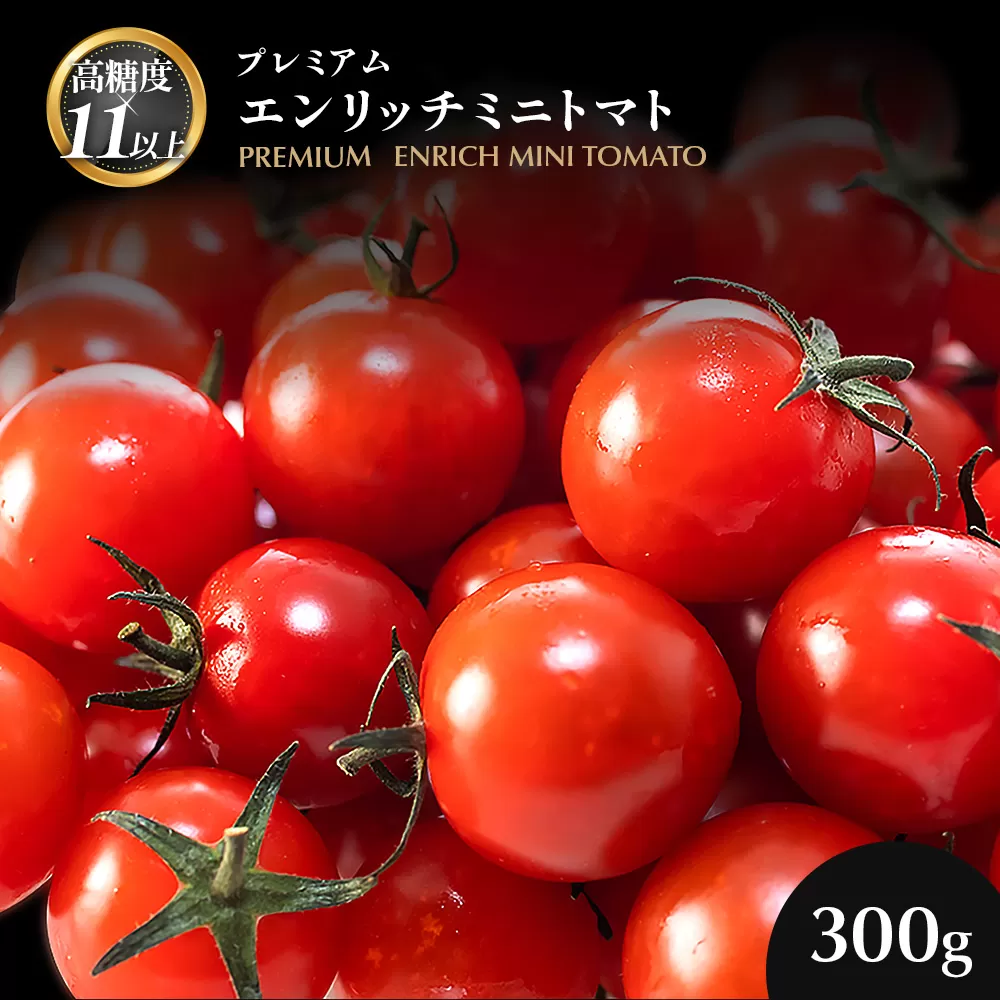 [先行予約][高糖度11以上]PREMIUM ENRICH MINI TOMATO 300g(プレミアムエンリッチミニトマト)[070007]