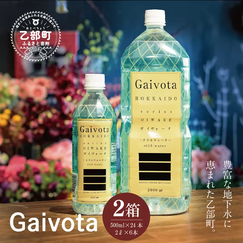 ＜Gaivota 1箱（500ml×24本/箱）+1箱（2L×6本/箱＞北のハイグレード食品 天然シリカ水  ミネラルウォーター  軟水 北海道産 北海道 乙部町 天然水 美容 ケイ素 無添加 シリカ ガイヴォータ 美肌 ミネラル 口当たり まろやか 備蓄 災害用 非常用