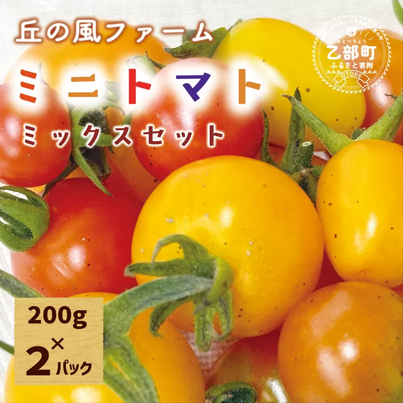 ＜丘の風ファーム ミニトマトミックス2パックセット＞