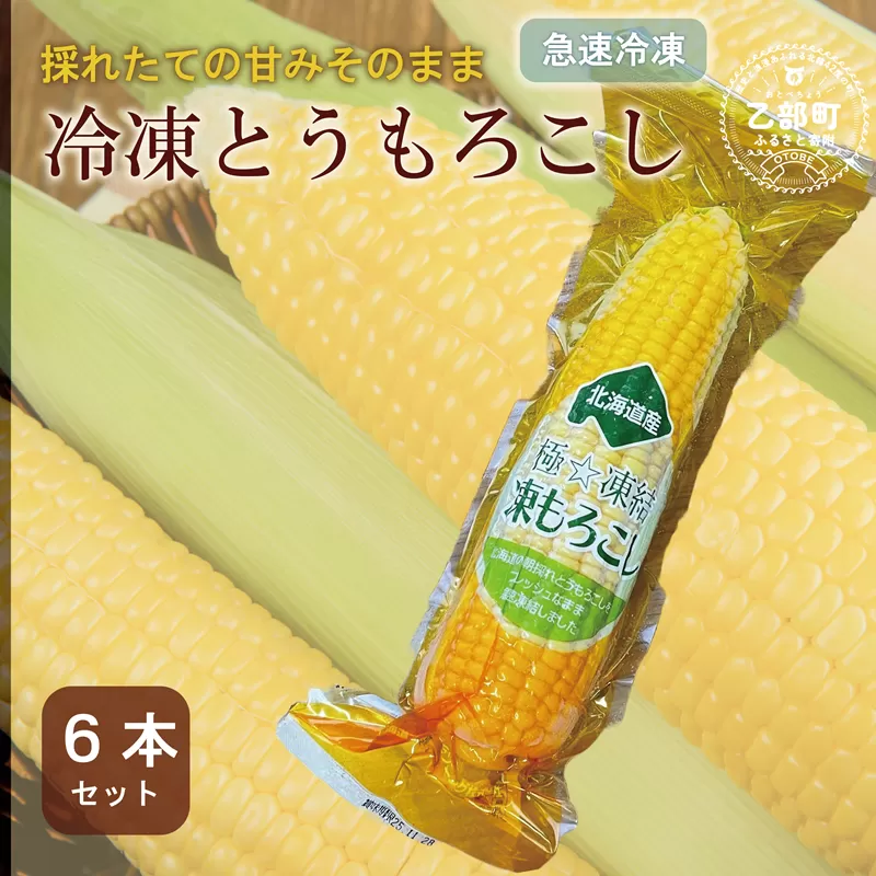 ＜ささや農園産 極★凍結とうもろこし 6本＞北海道 道産 国産 乙部町 とうもろこし とうきび 冷凍 急速冷凍 鮮度そのまま 甘さ 糖度 個包装 ゴールドラッシュ 恵味ゴールド
