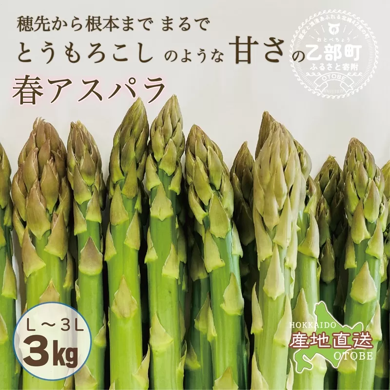 ＜北海道産 春採れグリーンアスパラ ３kg＞