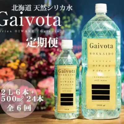 ＜定期便 Gaivota2箱(500ml×24本＋2L×6本)×6回分＞北のハイグレード食品 天然シリカ水 ミネラルウォーター 軟水 北海道産 北海道 乙部町 天然水 美容 ケイ素 無添加 シリカ ガイヴォータ 美肌 ミネラル 口当たり まろやか 備蓄 災害用 非常用 リピーター 6か月 備蓄 災害用 非常用
