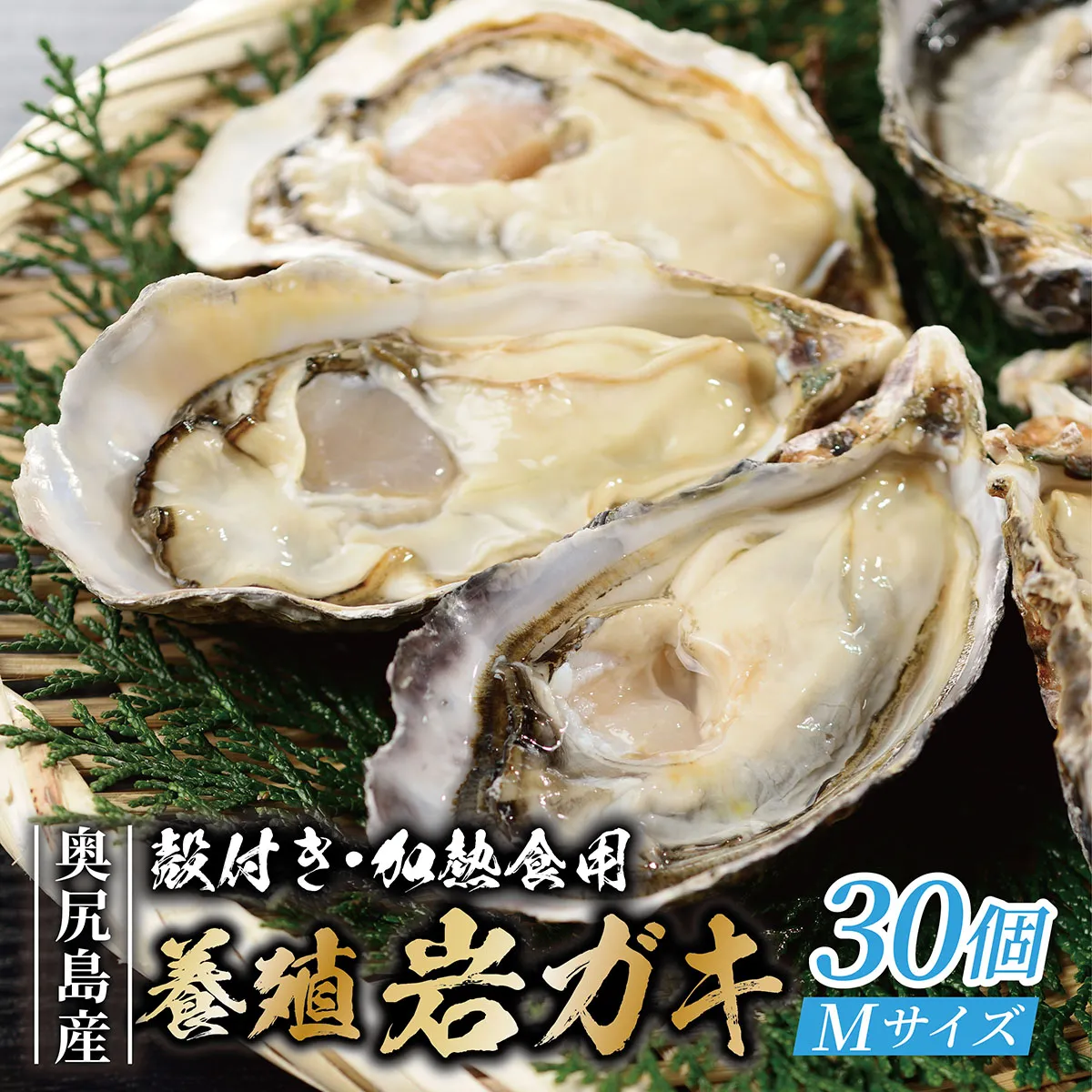 【先行予約 2026年7月20日頃より発送】奥尻島産 養殖岩ガキ【Mサイズ】殻付き 30個入り（加熱食用）〜豊かな海が育てた海の宝石〜  | 北海道 奥尻町 送料無料 OKS13-005
