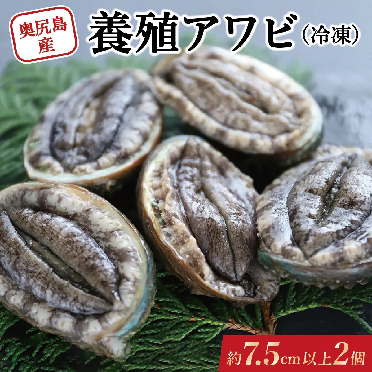 奥尻島産 冷凍 養殖アワビ (2個入り) 1個 約75mm | 新鮮 あわび アワビ 鮑 魚介 酒蒸し バター焼き 刺身 天ぷら グルメ お取り寄せ | 北海道 奥尻町 送料無料