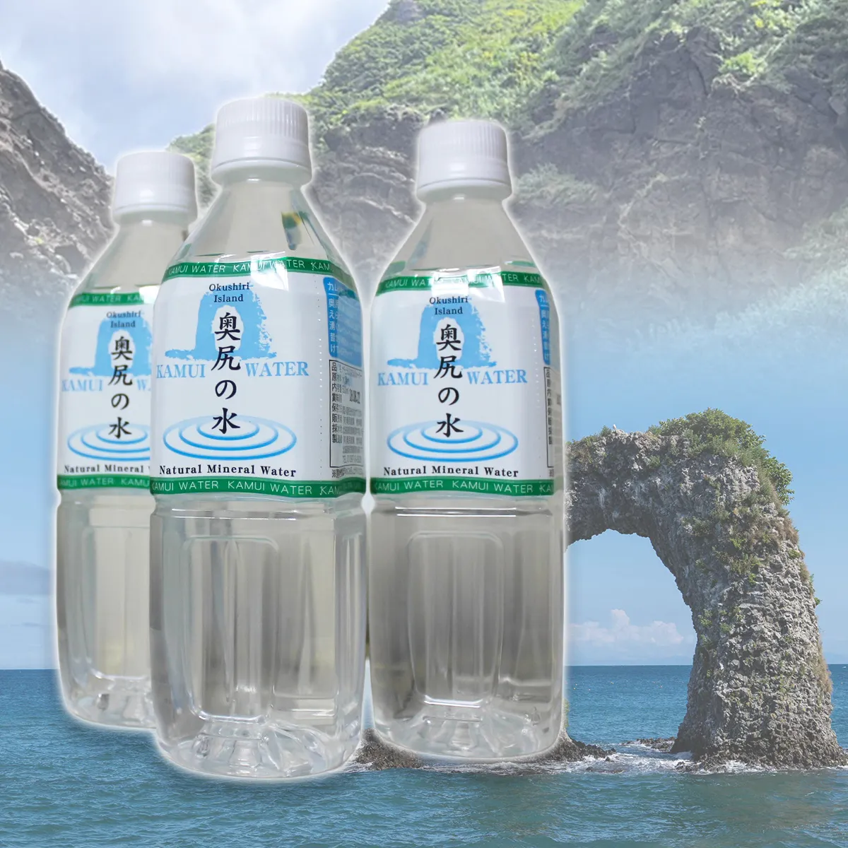 ブナの原生林が育む 天然水 〜KAMUI WATER〜「奥尻の水」500ml 24本 軟水 飲料水 水 ミネラルウォーター ナチュラルウォーター ナチュラルミネラルウォーター ペットボトル 名水 奥尻島 天然湧水 備蓄水 防災備蓄 まとめ買い | 北海道 奥尻町 送料無料