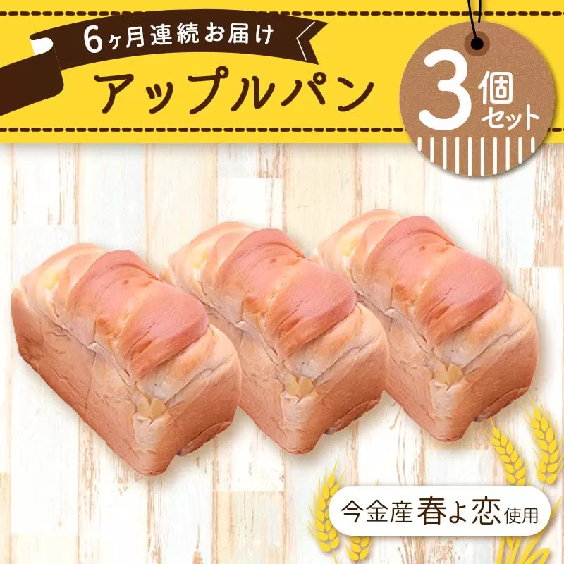 【6ヶ月連続お届け】今金産春よ恋使用！アップルパン3個セット F21W-470