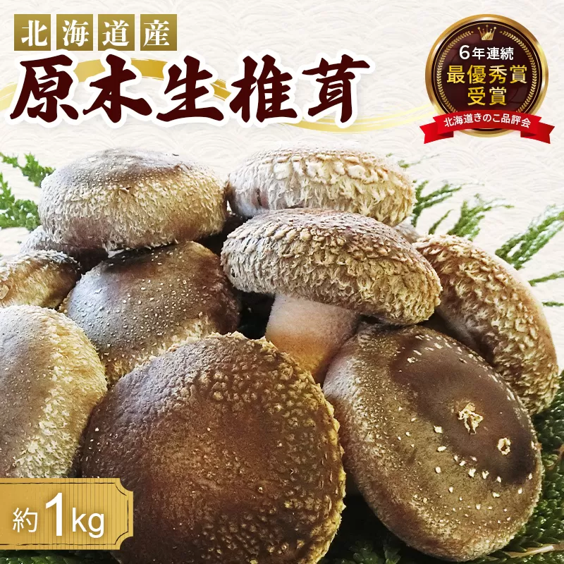 【先行予約】2026年6月以降順次発送 原木栽培 生椎茸 約1kg 里の恵 しいたけ シイタケ きのこ キノコ 椎茸 野菜  F21W-573