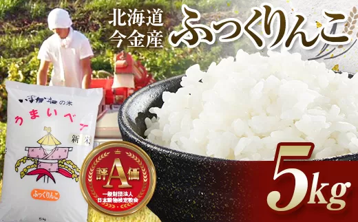 令和6年産 今金産 ふっくりんこ 5kg 北海道 今金町産 米 白米 米俵 F21W-345