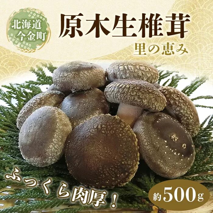 北海道産 原木生椎茸 里の恵 500g しいたけ 椎茸 きのこ 旨み ふっくら 肉厚 安心 安全 無農薬 原木 原木栽培 濃厚 味わい 鍋 バターソテー F21W-091