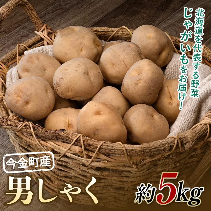 【先行予約】北海道今金町産男爵いも 約5kg 【2025年10月下旬以降順次出荷】 北海道産 じゃがいも ジャガイモ だんしゃく 野菜 ほくほく しっとり 常備野菜 F21W-485