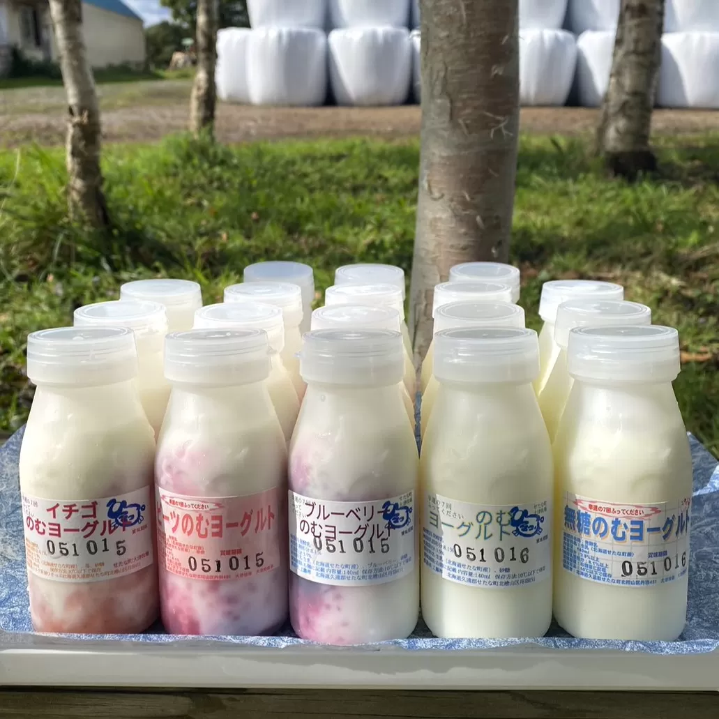自分の好みを探せるのむヨーグルト30本セット　北海道大津牧場のしぼりたてミルクで作ったヨーグルト　せたな町ふるさと納税