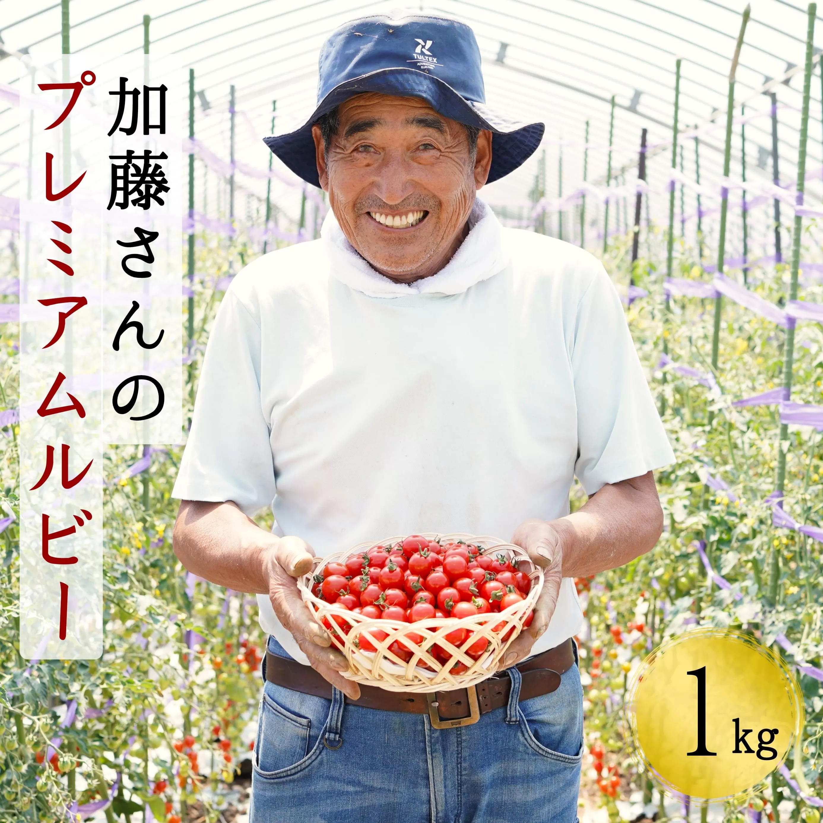 加藤さんのプレミアムルビー　1kg　北海道産高糖度フルーツミニトマト　せたな町ふるさと納税