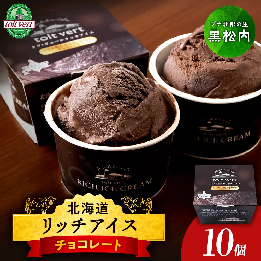 リッチアイスクリーム カカオ香るほどよい甘さのチョコレート 10個セット（100ml）アイス スイーツ おやつ 冷凍 食べ比べ