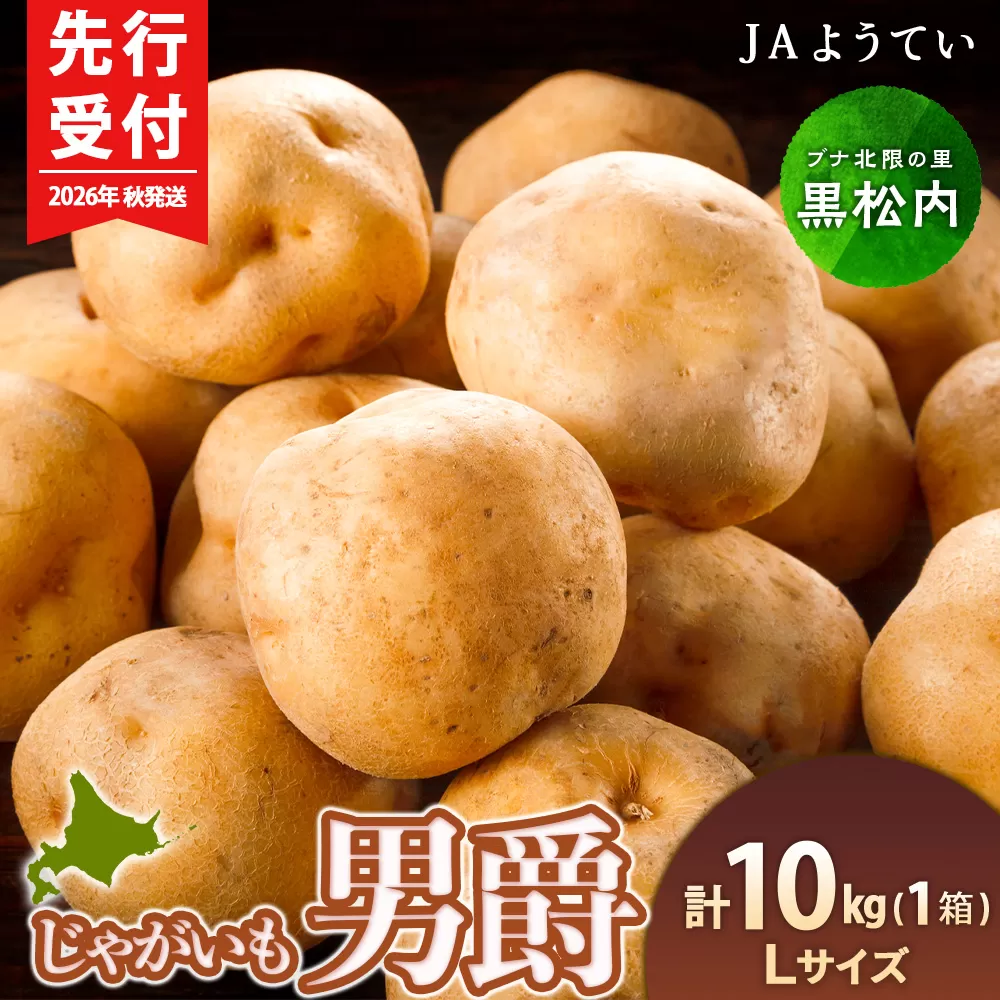 【2026年秋発送 先行予約】じゃがいも 馬鈴薯（男爵）Ｌサイズ 10kｇ＜JAようてい＞ ジャガイモ 芋 いも イモ 野菜 常温