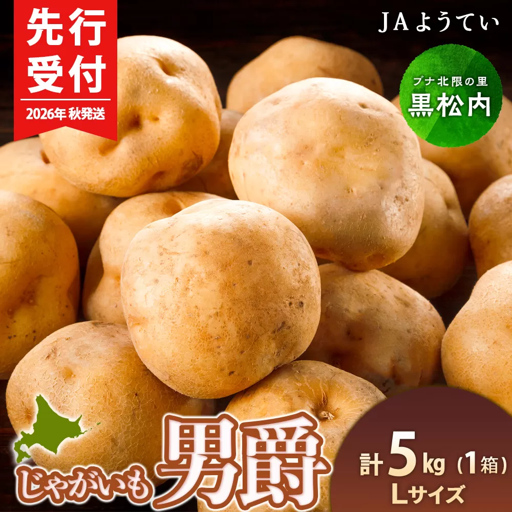 【2026年秋発送 先行予約】じゃがいも 馬鈴薯（男爵）Ｌサイズ　5kｇ＜JAようてい＞ジャガイモ 芋 いも イモ 野菜 常温