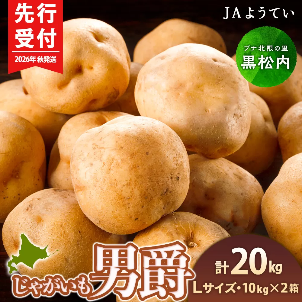 【2026年秋発送 先行予約】じゃがいも 馬鈴薯（男爵）Ｌサイズ 20kｇ＜JAようてい＞ ジャガイモ 芋 いも イモ 野菜 常温