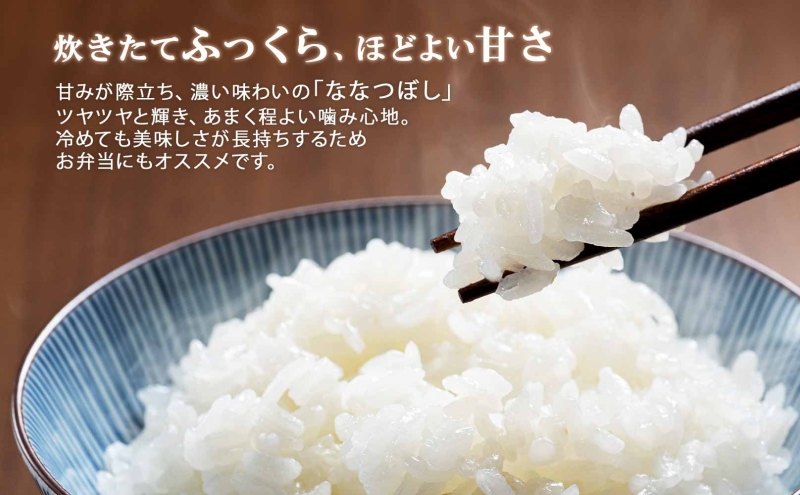 北海道産 ななつぼし 無洗米 20kg 米 特A 白米 お取り寄せ