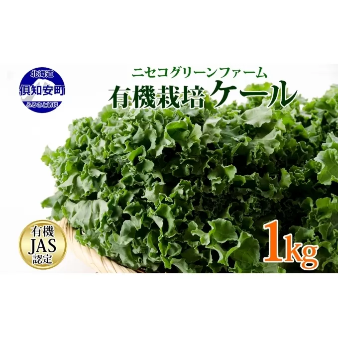 北海道産 旬の有機栽培野菜 ケール 1kg 有機栽培 オーガニック オーガニック野菜 有機野菜 有機jas認証 西洋野菜 ケール 生葉 青汁 スムージー 緑黄色野菜 新鮮 お取り寄せ