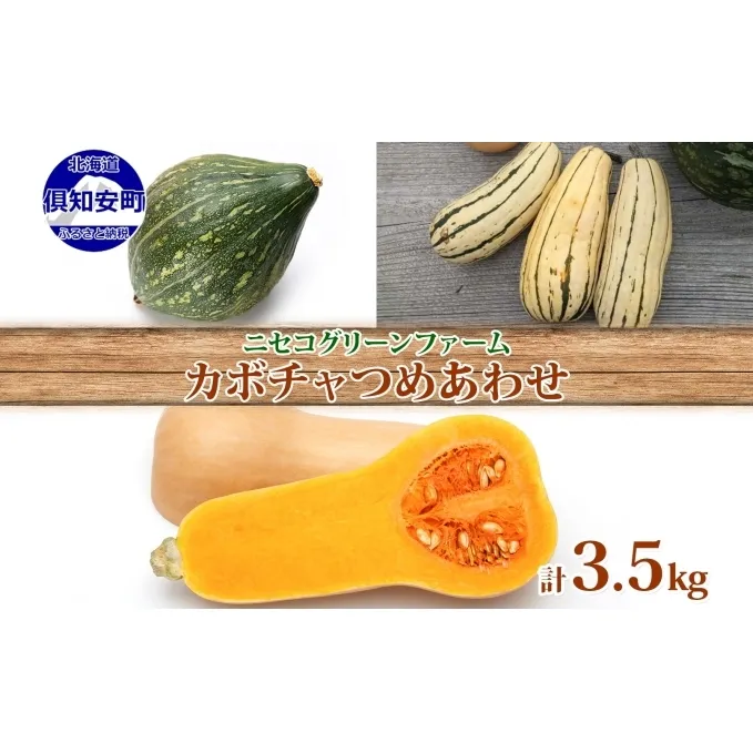 北海道産 旬の有機栽培野菜 かぼちゃ 3.5kg ミニバターナッツ デリカタ ロロン 有機栽培 オーガニック 有機野菜 有機jas認証 西洋野菜 新鮮 お取り寄せ 送料無料 ニセコグリーンファーム 北海道 倶知安町 詰め合わせ 
