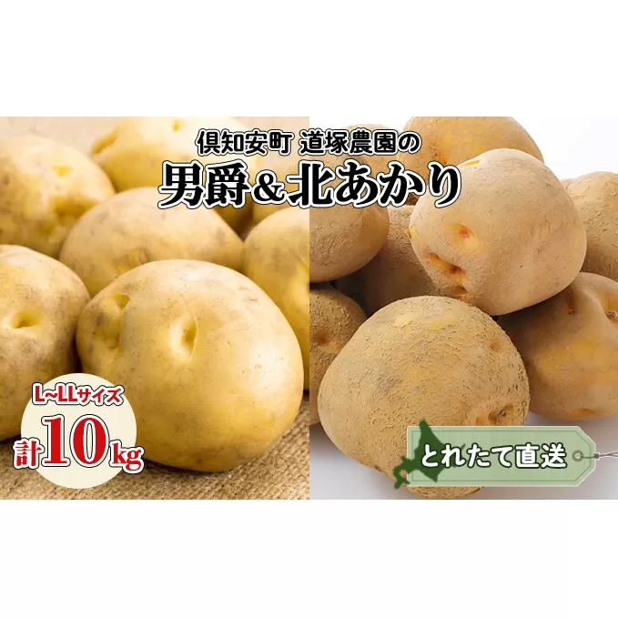 北海道産 道塚農園 じゃがいも 食べ比べ 2種セット 男爵 北あかり 計10kg前後 L-LLサイズ ジャガイモ きたあかり農作物 お取り寄せ【じゃがいも・野菜・芋】 