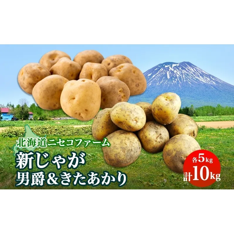 北海道産 越冬 じゃがいも 2種 詰め合わせ 男爵 きたあかり 各5kg 計10kg M-L サイズ混合 芋 ジャガイモ いも 野菜 お取り寄せ キタアカリ ニセコファーム 送料無料 北海道 倶知安町 北海道のジャガイモ 食品 