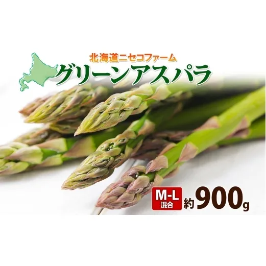 【 2026年 発送 】 北海道産 グリーン アスパラガス 約 900g  M - L サイズ混合 アスパラガス アスパラ 旬 朝採り 新鮮 お取り寄せ 産地直送 産直 野菜 農作物 詰め合わせ 国産 しりべしや