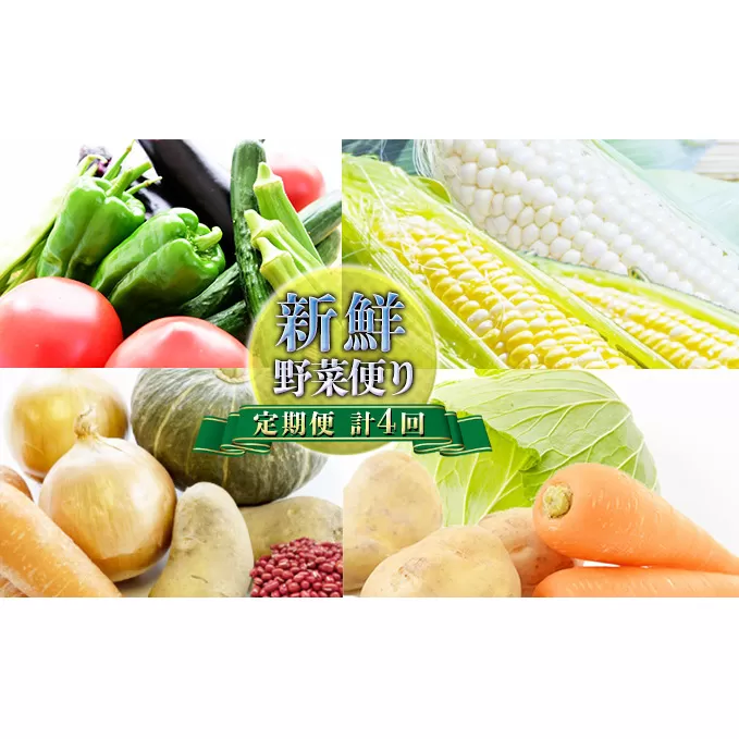 【ニセコファーム】定期便 新鮮 野菜便り 北海道 倶知安町 新鮮 採れたて とうもろこし 夏野菜 じゃがいも 玉ねぎ セット 