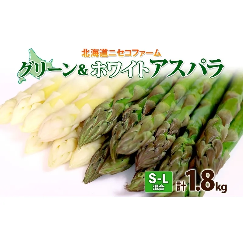 【 2026年 発送 】 北海道産 アスパラガス グリーン ホワイト 2種 約 900g×2 計1.8kg S - L サイズ混合 食べ比べ アスパラ 旬 朝採り 新鮮 お取り寄せ 産地直送 産直 野菜 農作物 詰め合わせ 国産 しりべしや 