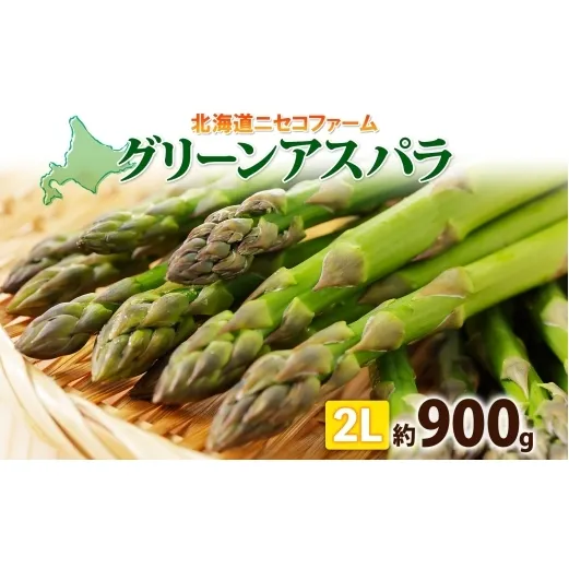 【 2026年 発送 】 北海道産 グリーン アスパラガス 約 900g 2L アスパラガス アスパラ 旬 朝採り 野菜 新鮮 野菜 お取り寄せ 産地直送 産直 野菜 農作物 詰め合わせ アスパラ 国産 野菜 しりべしや