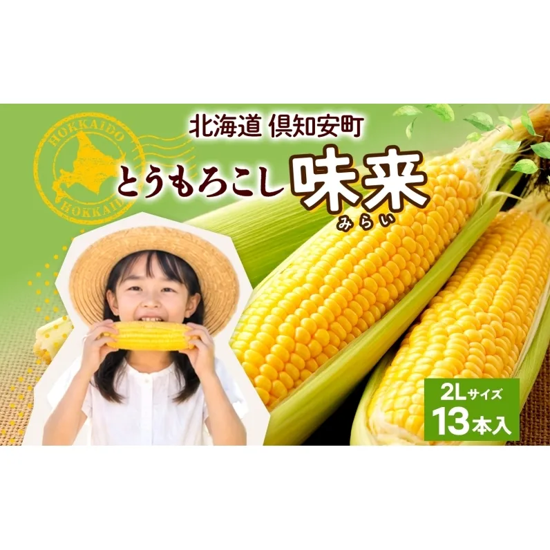 【 2026年 出荷 】 北海道産 朝もぎ イエロー とうもろこし 味来 みらい 2Lサイズ 13本 約5kg 大きめ 夏野菜 とうきび 新鮮 野菜 トウモロコシ ギフト 産地直送 コーン 産直 グリーンアースファーム スイートコーン