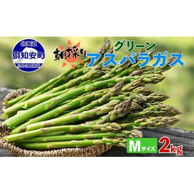 北海道 アスパラガス グリーン 2kg セット Mサイズ 春 限定 旬 朝採り 新鮮 野菜 アスパラ ギフト gift 産地直送 産直 お取り寄せ 詰め合わせ 送料無料 倶知安町 旬の食材 春野菜 柔らかい 食べ物 国産 