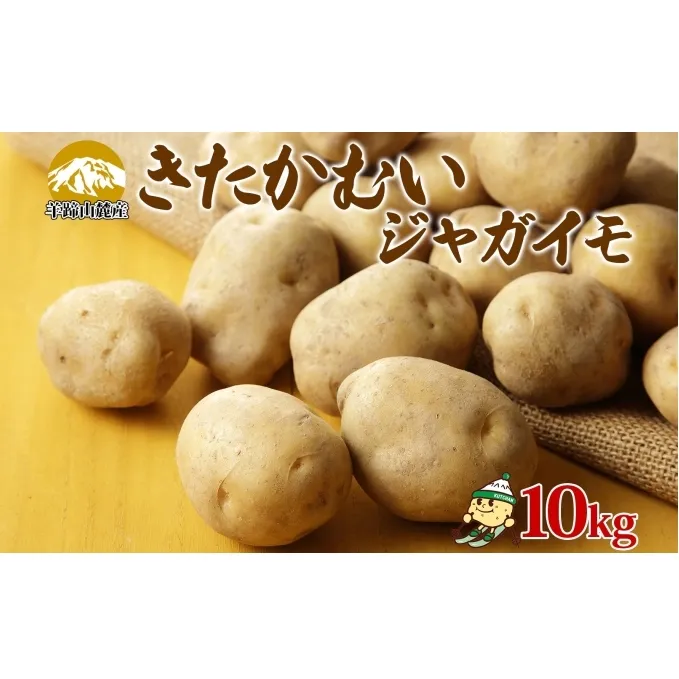 北海道産 じゃがいも きたかむい 約10kg Lサイズ ジャガイモ キタカムイ 馬鈴薯 いも ポテト 常備野菜 根菜 産直 国産 日本産 JAようてい 送料無料 北海道 倶知安町 北海道のジャガイモ 食品 